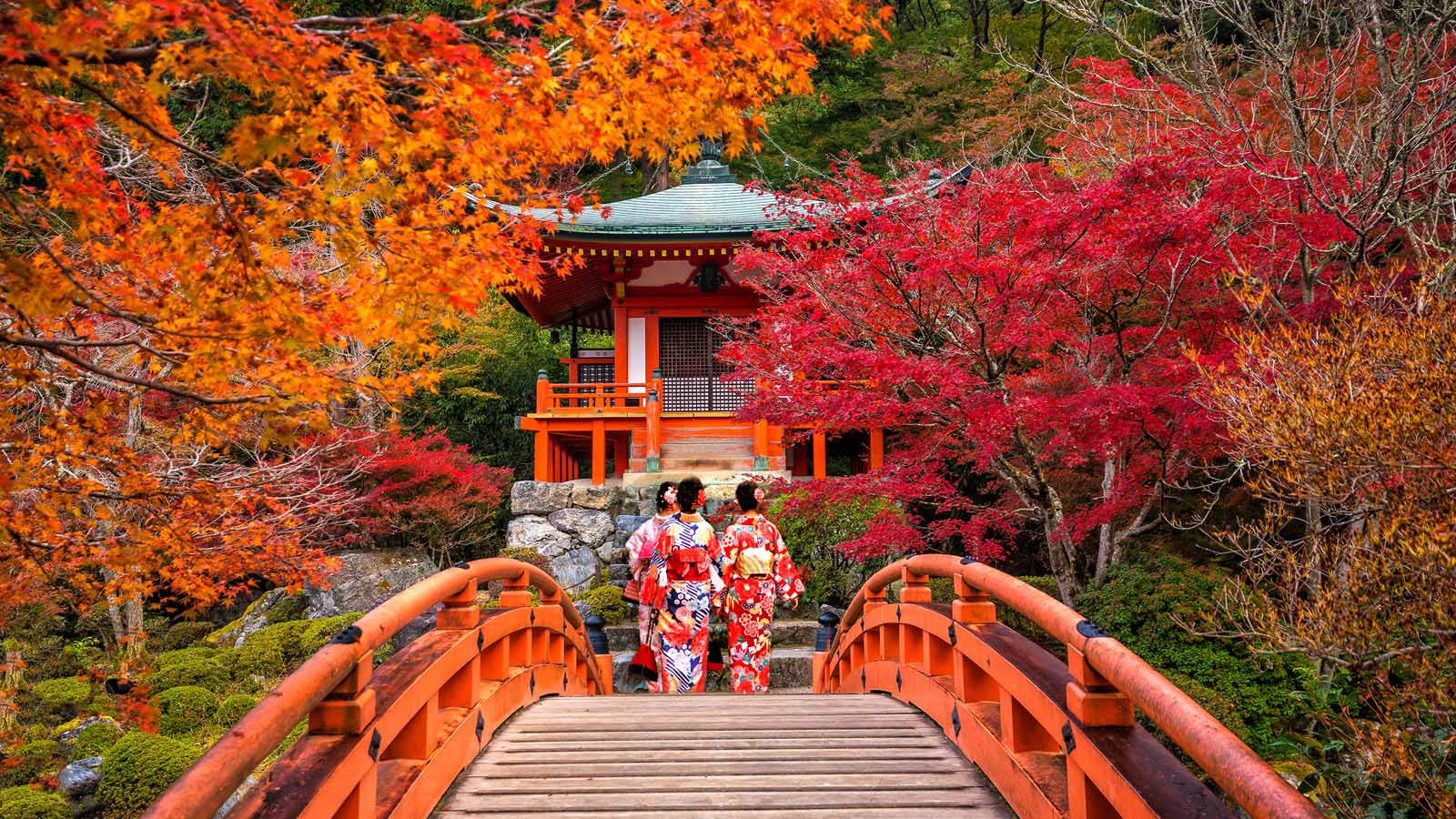 The 20 Best Things to Do in Kyoto, Japan